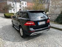 gebraucht Mercedes ML250 