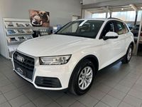 Gebraucht Audi Q5 Basis 163 PS (119 kW) 2020 Weiß SUV