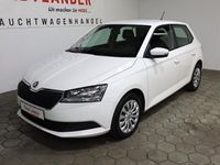 gebraucht Skoda Fabia Active 1.0 BT-FSE*TOUCHSCREEN