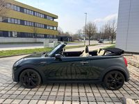 Gebraucht Mini Cooper S Cabriolet 178 PS (130 kW) 2023 Grün Cabrio