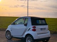 Gebraucht Smart ForTwo Cabrio 71 PS (52 kW) 2010 Weiß Cabrio