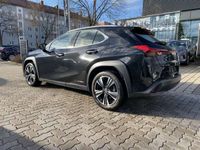 gebraucht Lexus UX 250h Luxury Line ACC FLA HUD 360 SpurW Leder