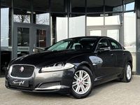 Gebraucht Jaguar XF 163 PS (119 kW) 2014 Grau Limousine
