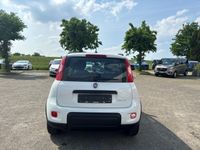 gebraucht Fiat Panda City Life 1.0 Mild Hybrid EU6d Designräder Freisprechanlage Bluetooth Klimaanlage