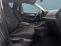 Neu Skoda Karoq 150 PS (110 kW) 2025 Grau SUV