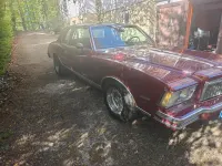 Gebraucht Chevrolet Monte Carlo 1978 Rot Coupé