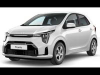 Neu Kia Picanto 68 PS (50 kW) 2026 Weiß Kleinwagen