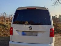 Gebraucht VW Caddy Trendline 102 PS (75 kW) 2019 Weiß Van / Kleinbus