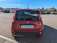 Neu Fiat Panda 69 PS (50 kW) 2025 Rot Limousine