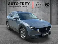 Gebraucht Mazda CX-30 Selection 179 PS (131 kW) 2020 Grau SUV