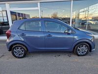Neu Kia Picanto Vision 68 PS (50 kW) 2026 Smoke blue met. Kleinwagen