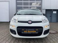 Gebraucht Fiat Panda 69 PS (50 kW) 2014 Weiß Kleinwagen