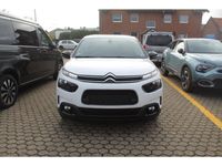 Gebraucht Citroën C4 Cactus 101 PS (74 kW) 2019 Weiß Kleinwagen