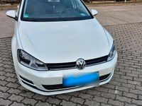 Gebraucht VW Golf VII 150 PS (110 kW) 2015 Weiß Kleinwagen