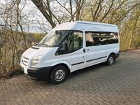 Second-hand Ford Transit 125 CP (91 kW) 2014 Alb Van