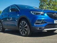 Gebraucht Opel Grandland X Ultimate 131 PS (96 kW) 2021 Blau SUV