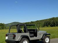 Gebraucht Jeep Wrangler 178 PS (130 kW) 1994 Grau SUV
