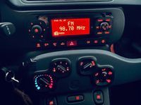 Gebraucht Fiat Panda Easy 69 PS (50 kW) 2019 Beige Kleinwagen