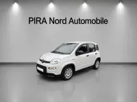 Gebraucht Fiat Panda 69 PS (50 kW) 2025 Weiß Kleinwagen