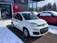 Neu Fiat Panda 65 PS (47 kW) 2026 Weiß Kleinwagen