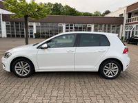 gebraucht VW Golf 1,6 TDI SCR NAVI ACC RÜCKFAHRKAMERA SPORT SITZE