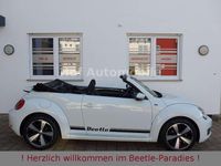 Gebraucht VW Beetle Allstar 105 PS (77 kW) 2016 Weiß Kleinwagen