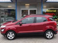 Gebraucht Ford Ecosport Cool & Connect 125 PS (91 kW) 2019 Rubyrot (metallic) SUV