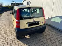 Gebraucht Fiat Panda 54 PS (39 kW) 2009 Gelb Kleinwagen