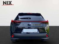 gebraucht Lexus UX 250h Edition