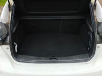 Gebraucht Ford Focus ST-Line 182 PS (133 kW) 2018 Weiß Limousine