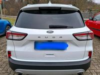Gebraucht Ford Kuga Titanium X 120 PS (88 kW) 2021 Weiß SUV