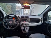 Gebraucht Fiat Panda Easy 69 PS (50 kW) 2019 Kleinwagen