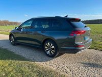 Gebraucht VW Golf VIII Move 150 PS (110 kW) 2023 Grau Kombi
