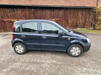 gebraucht Fiat Panda Bj 2009, TÜV Neu