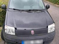 Gebraucht Fiat Panda 2009 Kleinwagen
