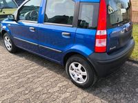 Gebraucht Fiat Panda 60 PS (44 kW) 2009 Blau Kleinwagen