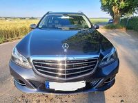 Gebraucht Mercedes E220 Avantgarde 170 PS (125 kW) 2014 Grau Kombi