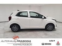 Neu Kia Picanto Vision 68 PS (50 kW) 2025 Weiss Kleinwagen