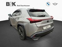 gebraucht Lexus UX 250h Launch Edition Aut. Navi RFK Bi-LED SHZ