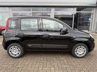 Neu Fiat Panda 69 PS (50 kW) 2025 Cinema schwarz Kleinwagen