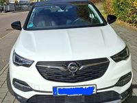 Gebraucht Opel Grandland X Business Innovation 177 PS (130 kW) 2019 Weiß SUV