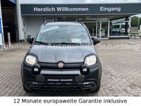 Bild 2