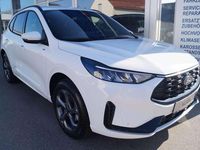 Neu Ford Kuga ST-Line 179 PS (131 kW) 2026 Frostweiss SUV
