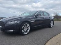 Gebraucht Jaguar XF Pure 163 PS (119 kW) 2016 Blau Limousine