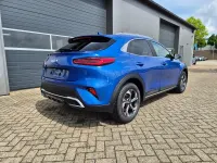 Neu Kia XCeed 150 PS (110 kW) 2026 Blueflame metallic SUV