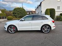 Gebraucht Audi SQ5 Competition 326 PS (239 kW) 2016 Weiß SUV