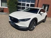 Gebraucht Mazda CX-30 Selection 186 PS (136 kW) 2021 Weiß SUV