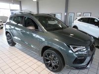 Neu Cupra Ateca 150 PS (110 kW) 2026 Dark forest grün SUV