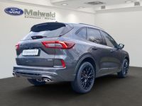 Neu Ford Kuga ST-Line X 190 PS (139 kW) 2026 Grau SUV
