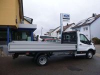 Neu Ford Transit 165 PS (121 kW) 2026 Frozen white Van